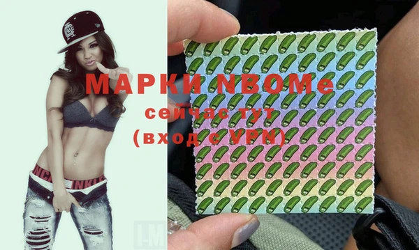 стафф Алзамай
