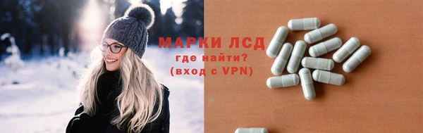 стафф Алзамай
